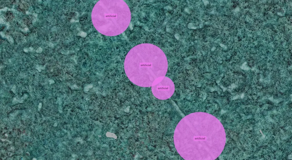 AI detections highlighting artificial underwater structures along the submarine outfall.