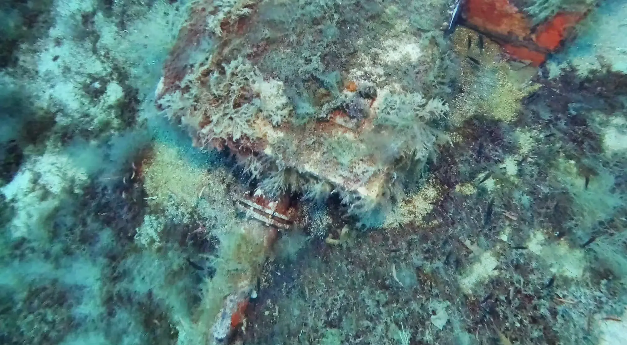 Close-up view of a submarine outfall diffuser and flange for visual condition inspection.
