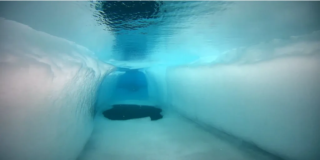 Underwater view beneath sea ice during the Greenland 2026 survey of rarely explored Arctic environments.
