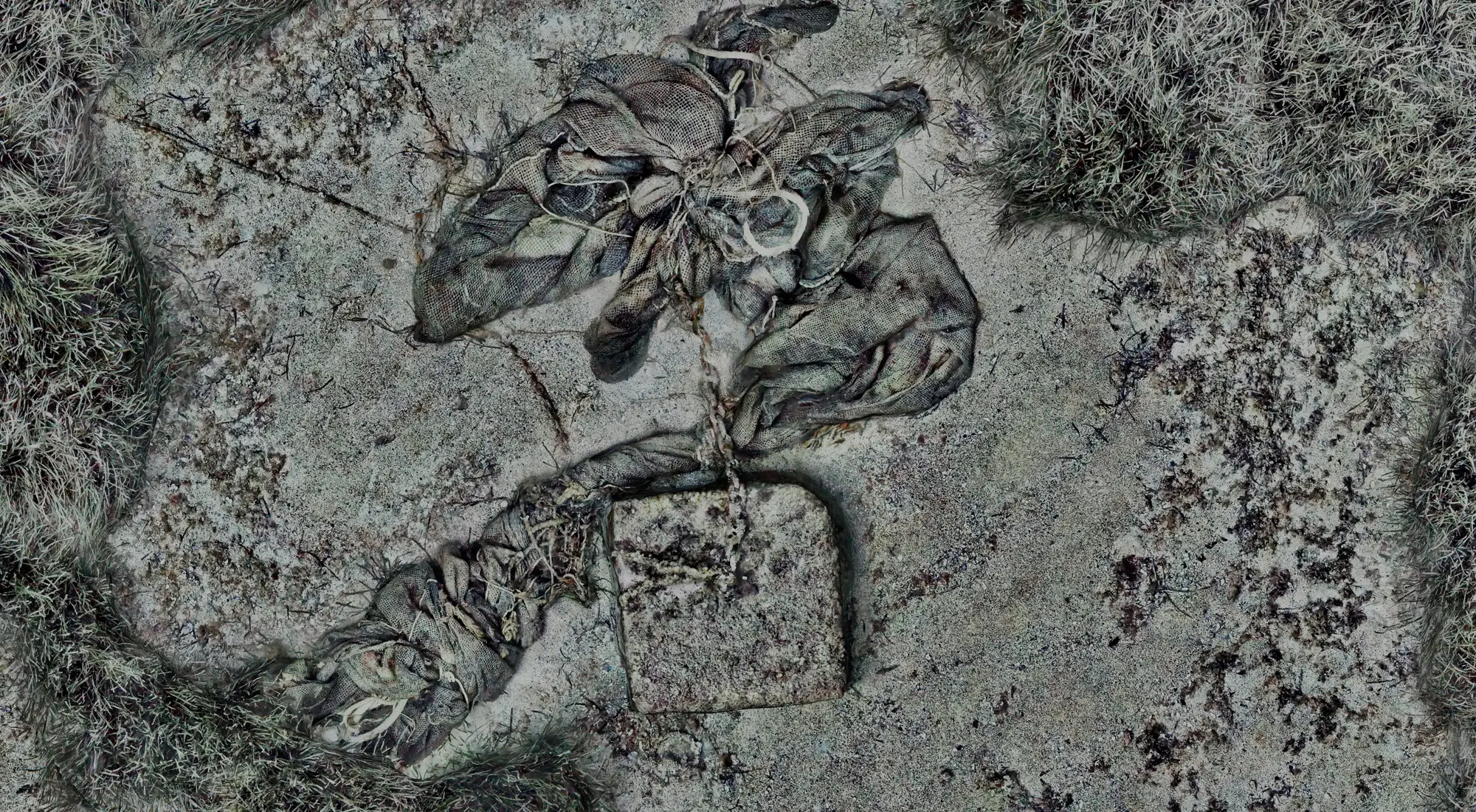 Centimetre-scale orthomosaic showing abandoned ropes and a submerged mooring block within benthic habitat in Théoule-sur-Mer.