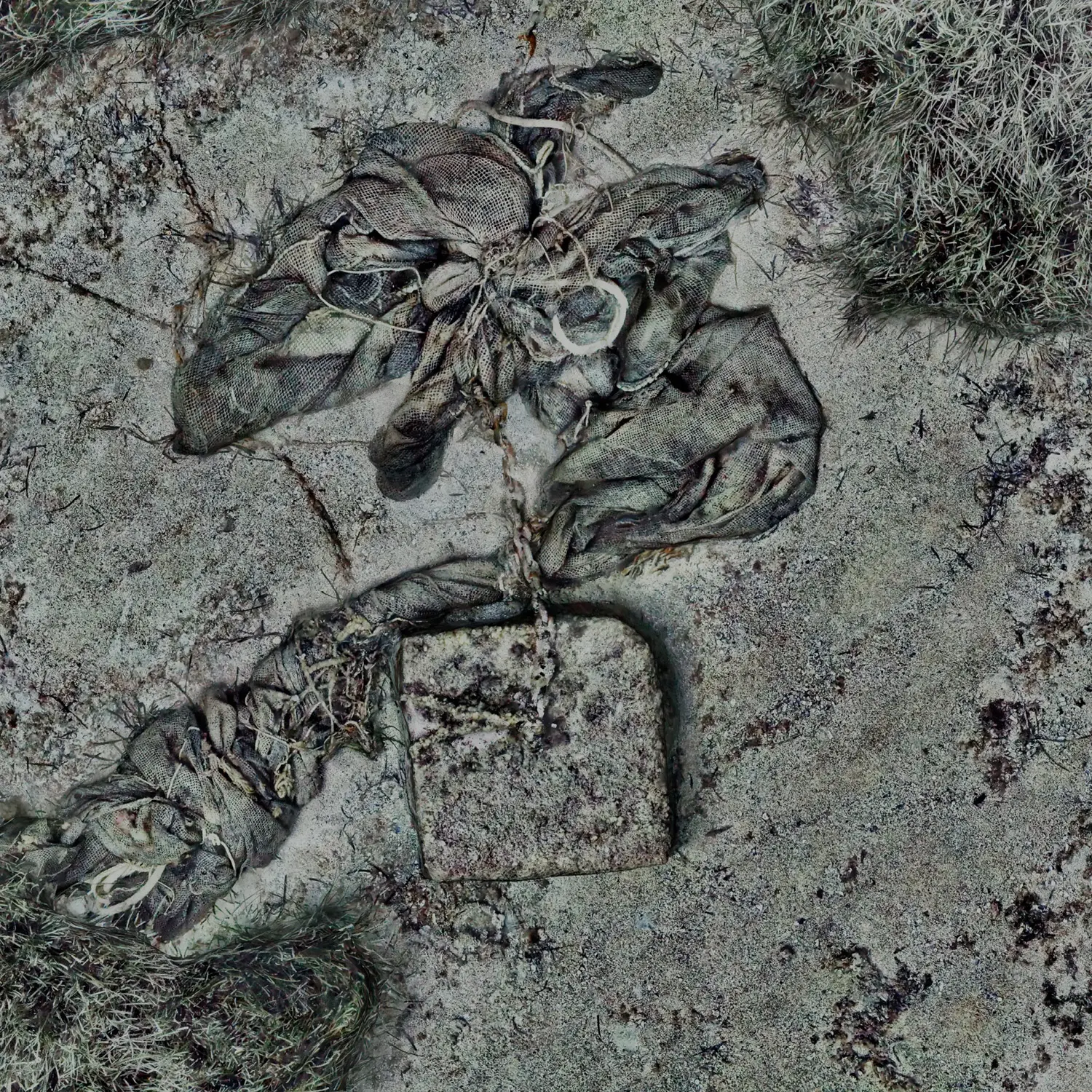 Centimetre-scale orthomosaic showing abandoned ropes and a submerged mooring block within benthic habitat in Théoule-sur-Mer.