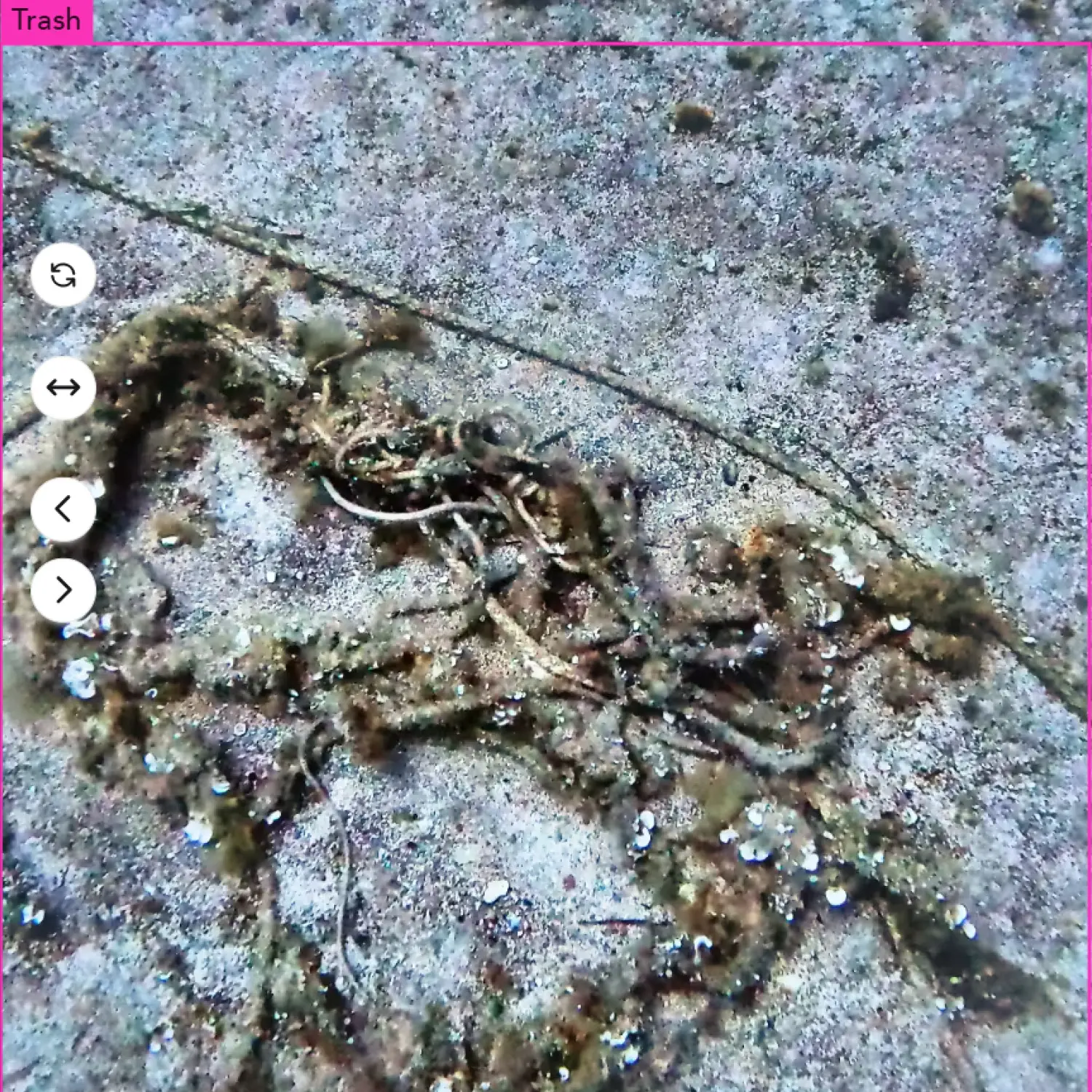 Cosma web platform showing AI-assisted detection and georeferenced imagery of underwater macrowaste in Théoule-sur-Mer.