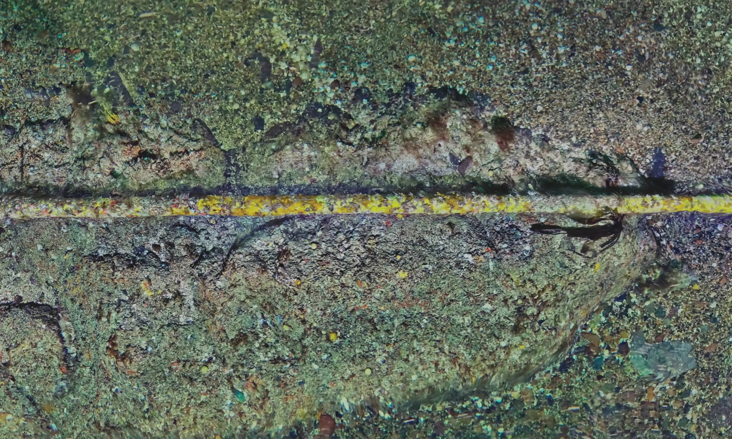 High-resolution reconstruction of the subsea cable crossing rocky and coarse-sediment seabed at the OPEN-C Paimpol tidal site.